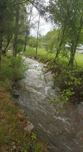 creek at corn creek campground