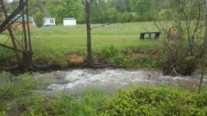 creek by the campsite